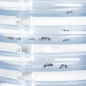 Preview: Ameisen-Spiralturm S - 20